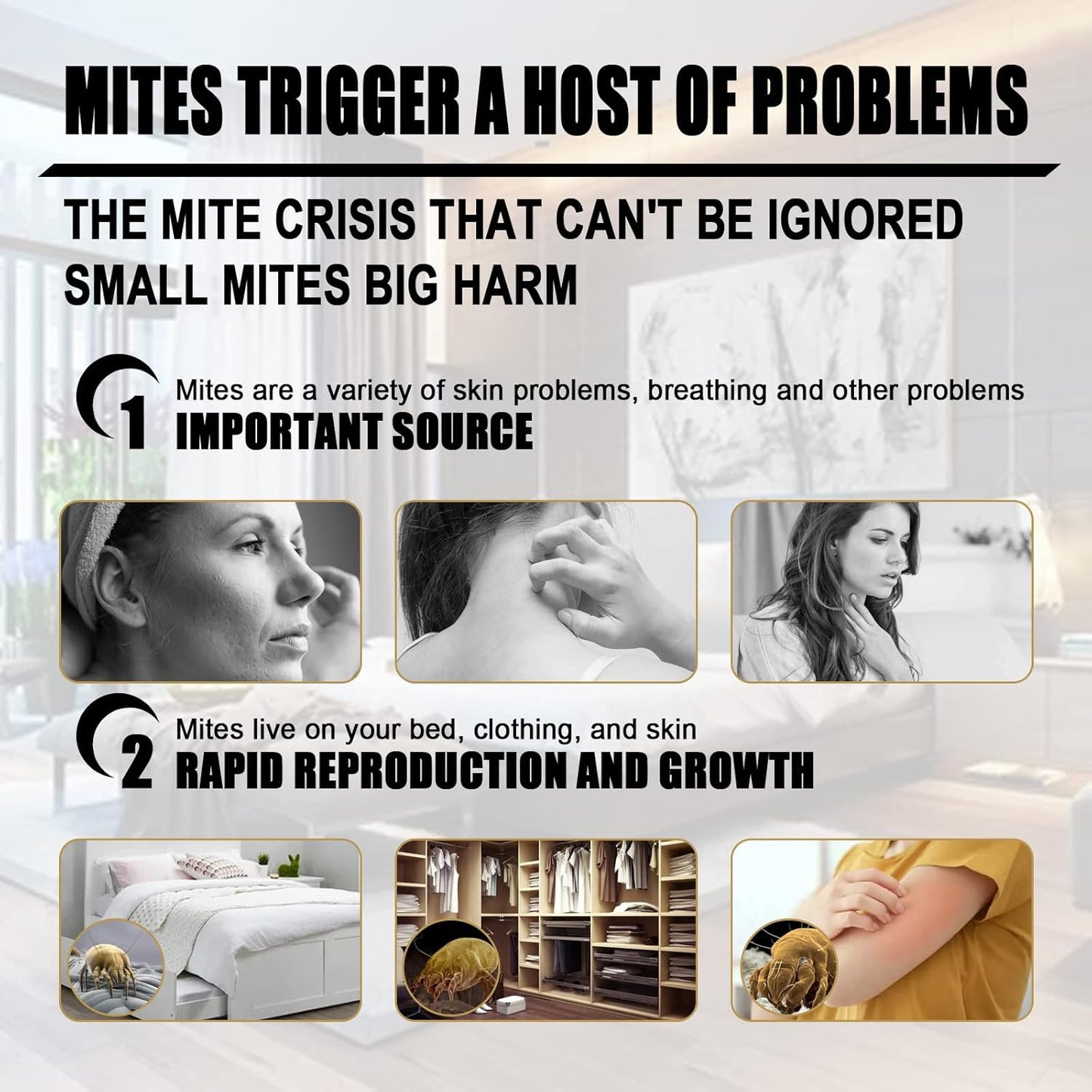 Natural Mite Killer – Non-Toxic, Antibacterial, for Beds, Pillows, Sheets, and Sofas